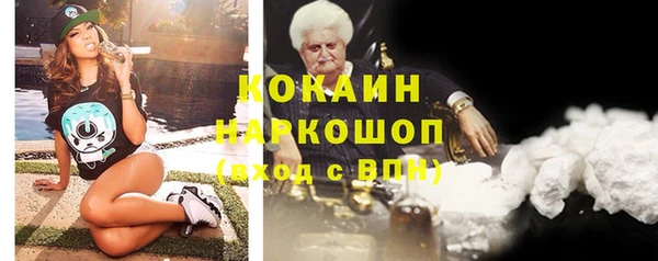 гидропоника Горнозаводск
