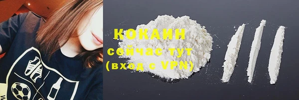 apvp Горняк
