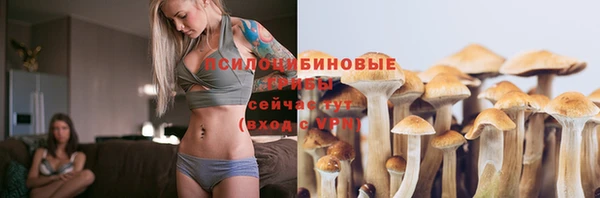 гидропоника Горнозаводск