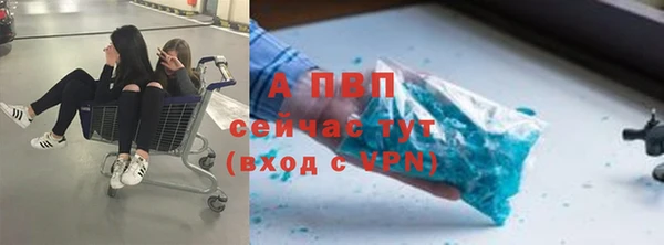 apvp Горняк