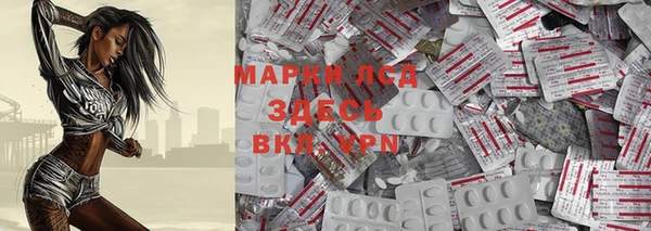 apvp Горняк