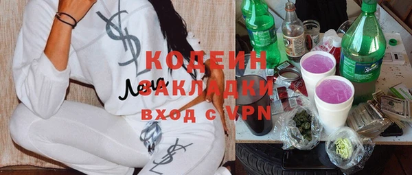 apvp Горняк