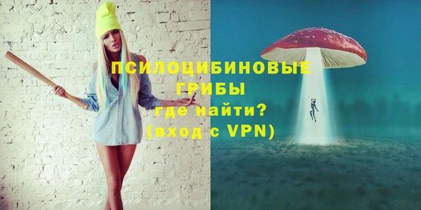 apvp Горняк