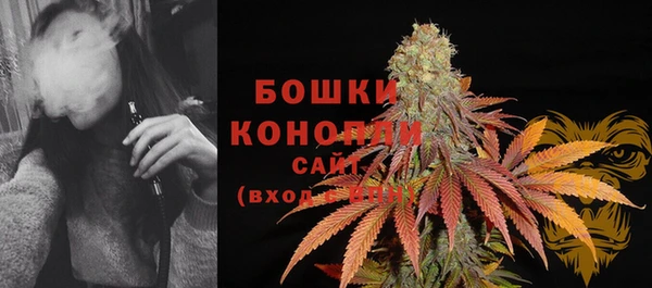 apvp Горняк