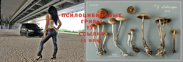 apvp Горняк