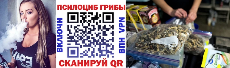 кракен как зайти  наркотики  Нальчик  Псилоцибиновые грибы Psilocybe 